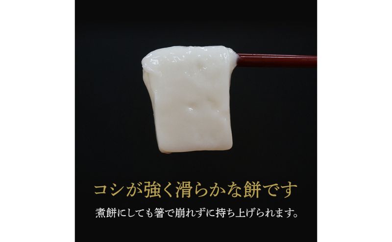 【贈答用】魚沼産こがねもち100％使用 令和7年産 越路餅500g3種 4点セット（白2個、草1、豆1）包装付 モチ 詰め合わせ ギフト プレゼント 新潟