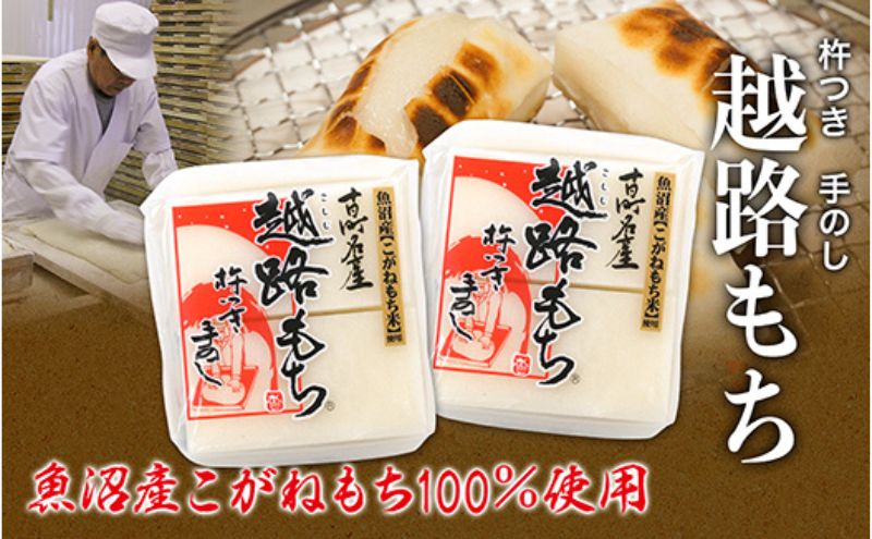【新潟県十日町市】魚沼産こがねもち100%使用 令和7年産 越路もち500g×2 餅