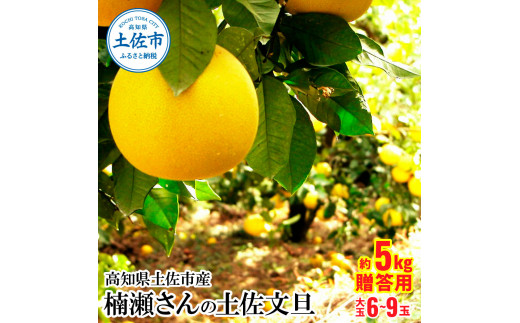 5L4Lサイズ　文旦　柑橘　王様　20kg 26 楽天市場】【ふるさと納税】【予約受付・期間限定商品】福岡柑橘