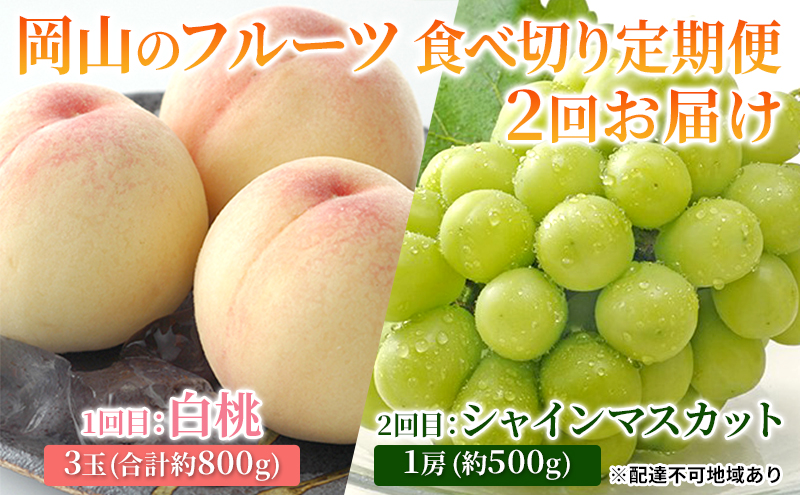 【岡山県里庄町】フルーツ 2026年 岡山のフルーツ 食べ切り 定期便 白桃 3玉 合計約800g/シャイン マスカット 1房 約500g もも 葡萄 ブドウ 岡山県産 フルーツ シャインマスカット 桃 果物 旬 定期便
