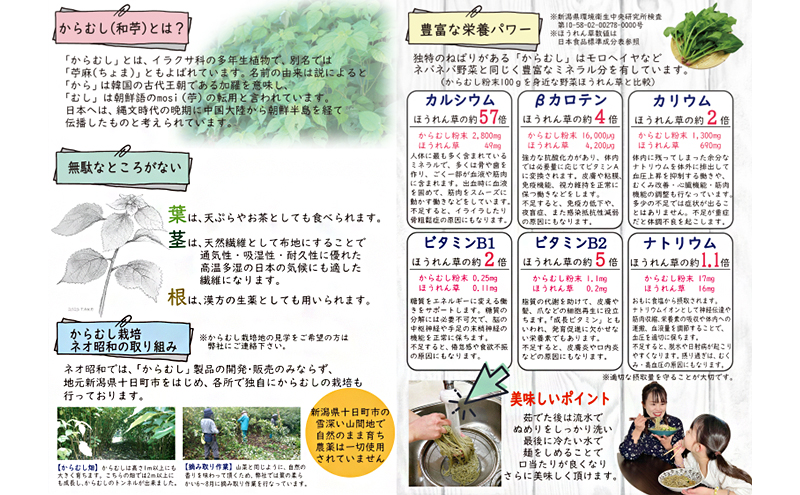 【豊富な栄養！】雪国越後十日町からむし麺（うどん） 10束入りギフト（200g×10束） 麺類 新潟 