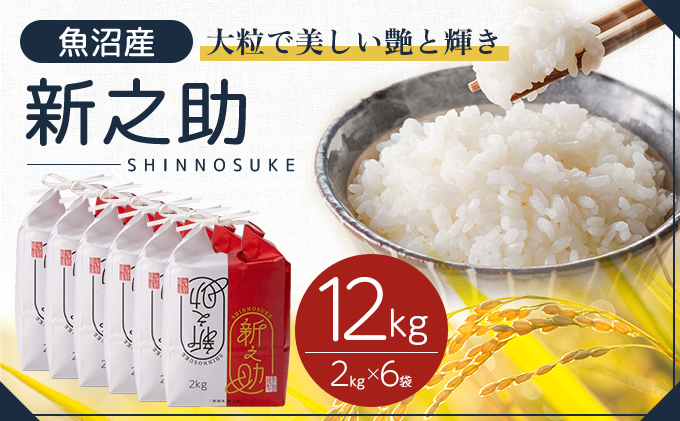 令和7年産 魚沼産 新之助 12kg(2kg×6袋) お米 米 コメ 