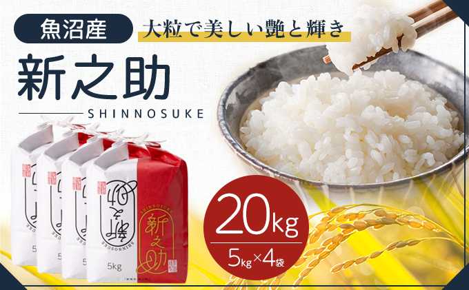令和6年産 魚沼産 新之助 20kg(5kg×4袋) お米 米 コメ （新潟県