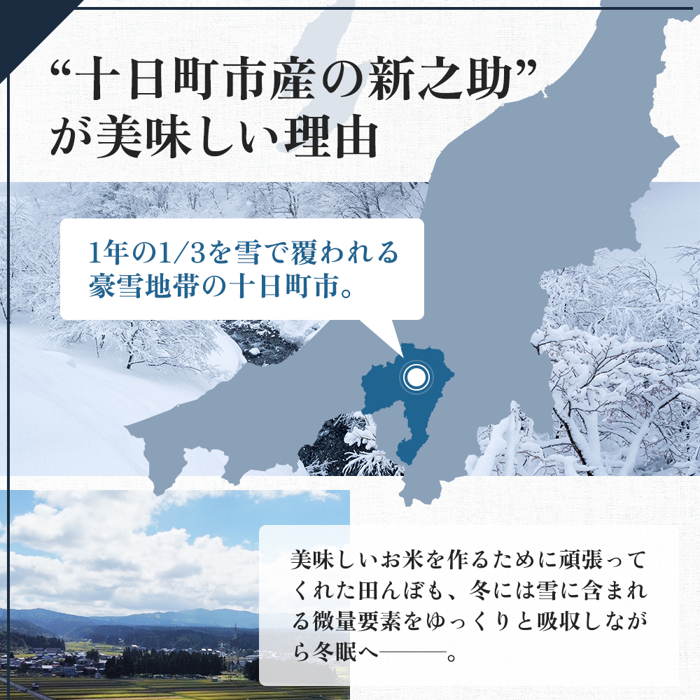 令和7年産 魚沼産 新之助 20kg(5kg×4袋) お米 米 コメ 