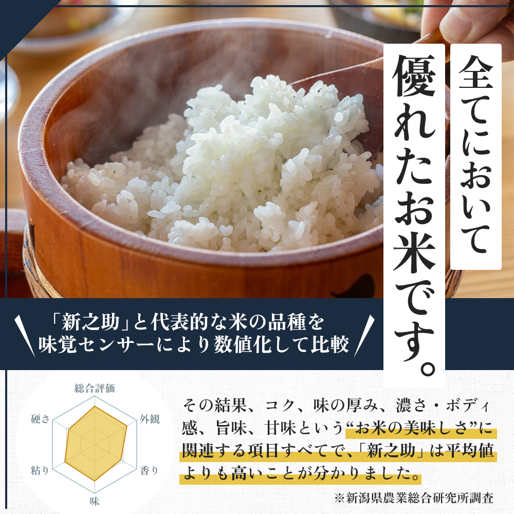 令和7年産 魚沼産 新之助 2kg お米 米 コメ 