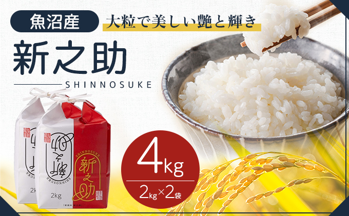 令和7年産 魚沼産 新之助 4kg(2kg×2袋) お米 米 コメ 