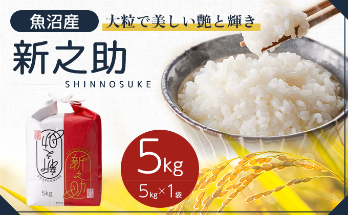 【新潟県十日町市】令和7年産 魚沼産 新之助 5kg お米 米 コメ