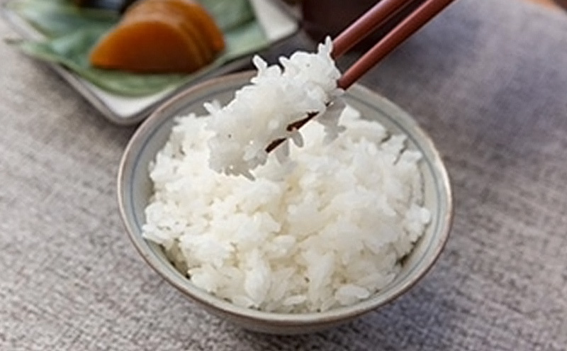 令和7年産 魚沼産コシヒカリ 精米5kg お米 こしひかり 