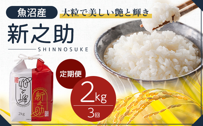 【新潟県十日町市】令和7年産 定期便 魚沼産 新之助 精米2kg×3回 お米 こめ コメ