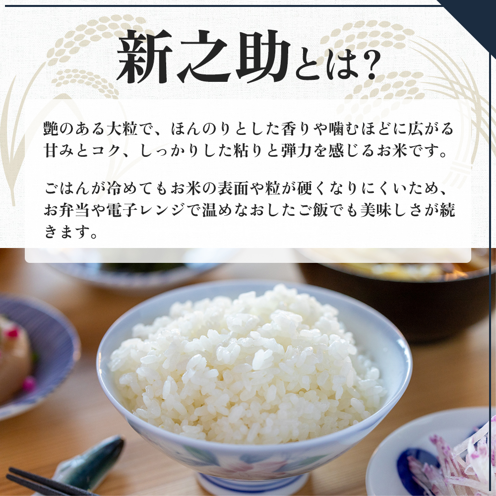 令和7年産 定期便 魚沼産 新之助 精米2kg×3回 お米 こめ コメ 