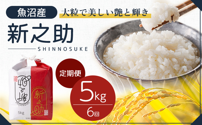 【新潟県十日町市】令和7年産 定期便 魚沼産 新之助 精米5kg×6回 お米 こめ コメ