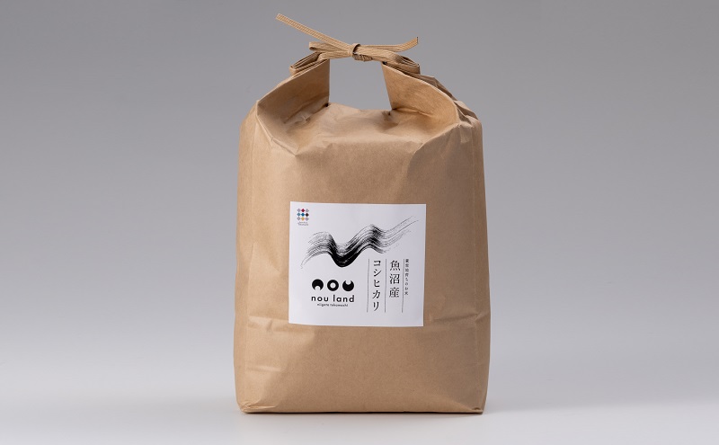 【新潟県十日町市】令和7年産 定期便 魚沼産 コシヒカリ 精米5kg×6回 お米 こしひかり