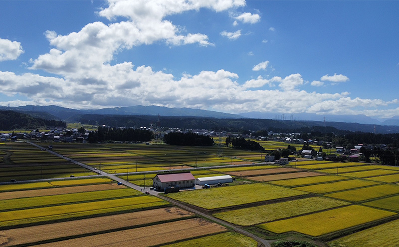 令和7年産 定期便 魚沼産 コシヒカリ 精米2kg×3回 お米 こしひかり 