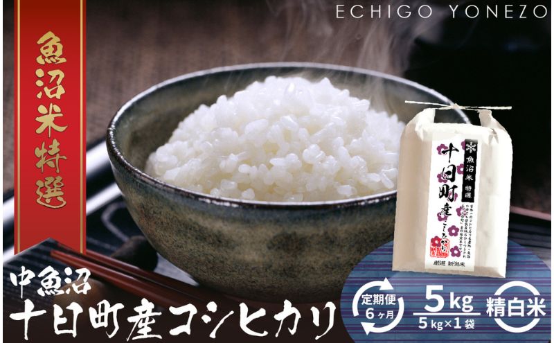 【定期便】魚沼十日町コシヒカリ5kg【ギフト】 x 6回 お米 米 コメ 