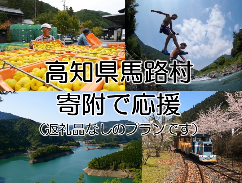 【寄附のみ】 寄附で高知県馬路村を応援（返礼品はございません）