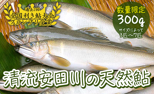 清流安田川の天然鮎（冷凍） 魚介 お取り寄せグルメ