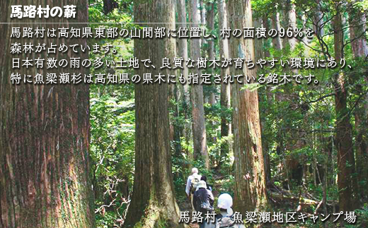 スギ乾燥薪 10ｋｇ 焚き木 焚き付け材 マキストーブ 馬路村