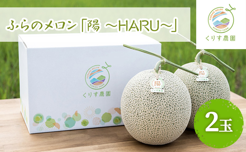 【北海道富良野市】【2026年7月上旬より順次発送】ふらのメロン「陽 〜HARU〜」大玉(2.3kg以上)×2玉 ( 赤肉 )( くりす農園 )