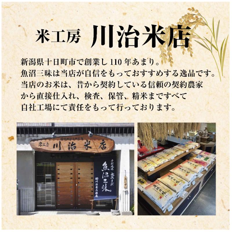 令和7年産 魚沼産コシヒカリ 魚沼三昧(R) 2kg×3 