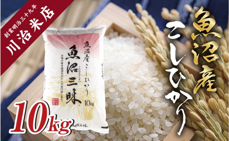 yV\szߘa7NY Y RVqJ 10kg  Ђ  R V  Y   VY  Y Yn __  O 쎡ēX V \s  Â