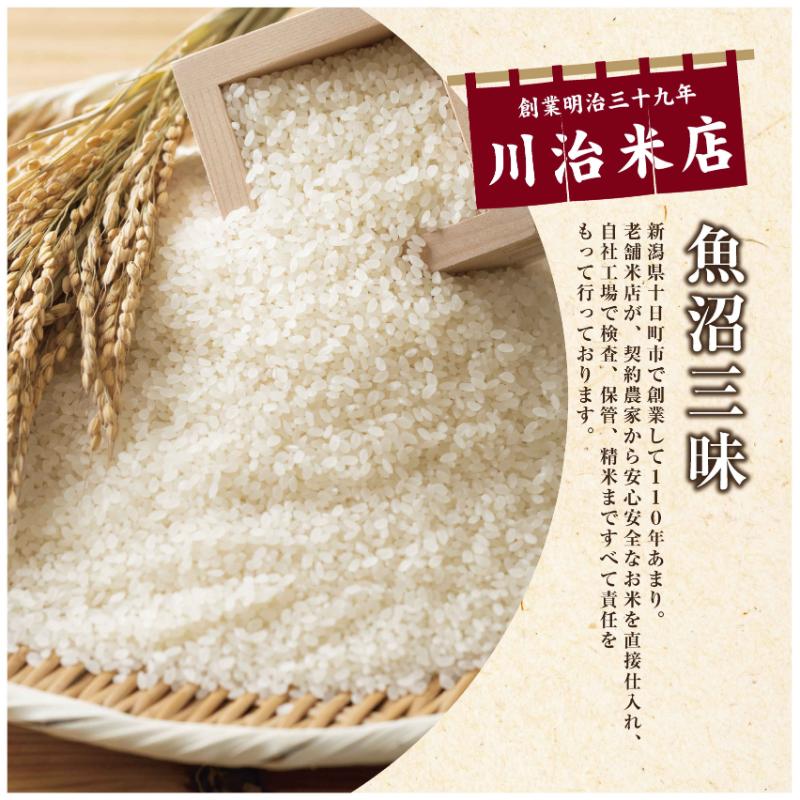 令和7年産 魚沼産 コシヒカリ 10kg 米 こしひかり お米 コメ 新潟 魚沼 魚沼産 白米 送料無料 新潟県産 精米 産直 産地直送 契約農家 お取り寄せ 魚沼三昧 川治米店 新潟県 十日町市 もちもち 甘み 