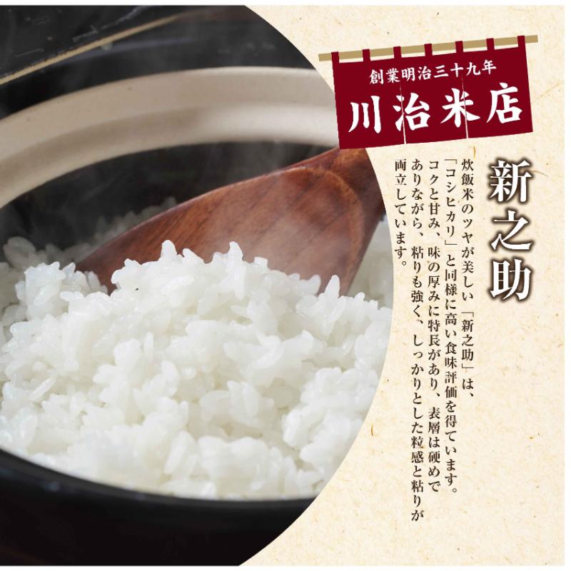 令和7年産 魚沼産 新之助 5kg 米 お米 コメ プレミアム米 新潟 魚沼 魚沼産 白米 送料無料 新潟県産 精米 産直 産地直送 契約農家 お取り寄せ 魚沼三昧 川治米店 新潟県 十日町市 大粒 甘み 