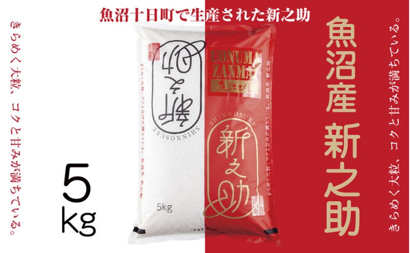 【新潟県十日町市】令和7年産 魚沼産 新之助 5kg 米 お米 コメ プレミアム米 新潟 魚沼 魚沼産 白米 送料無料 新潟県産 精米 産直 産地直送 契約農家 お取り寄せ 魚沼三昧 川治米店 新潟県 十日町市 大粒 甘み