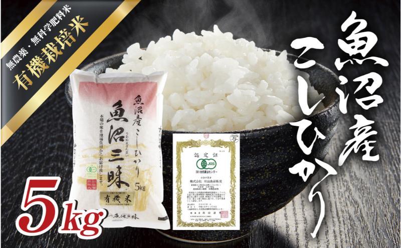 【新潟県十日町市】令和7年産 魚沼産 コシヒカリ 有機栽培米 5kg 米 こしひかり お米 コメ 新潟 魚沼 魚沼産 白米 送料無料 新潟県産 精米 産直 産地直送 有機栽培 お取り寄せ 魚沼三昧 川治米店 新潟県 十日町市 もちもち