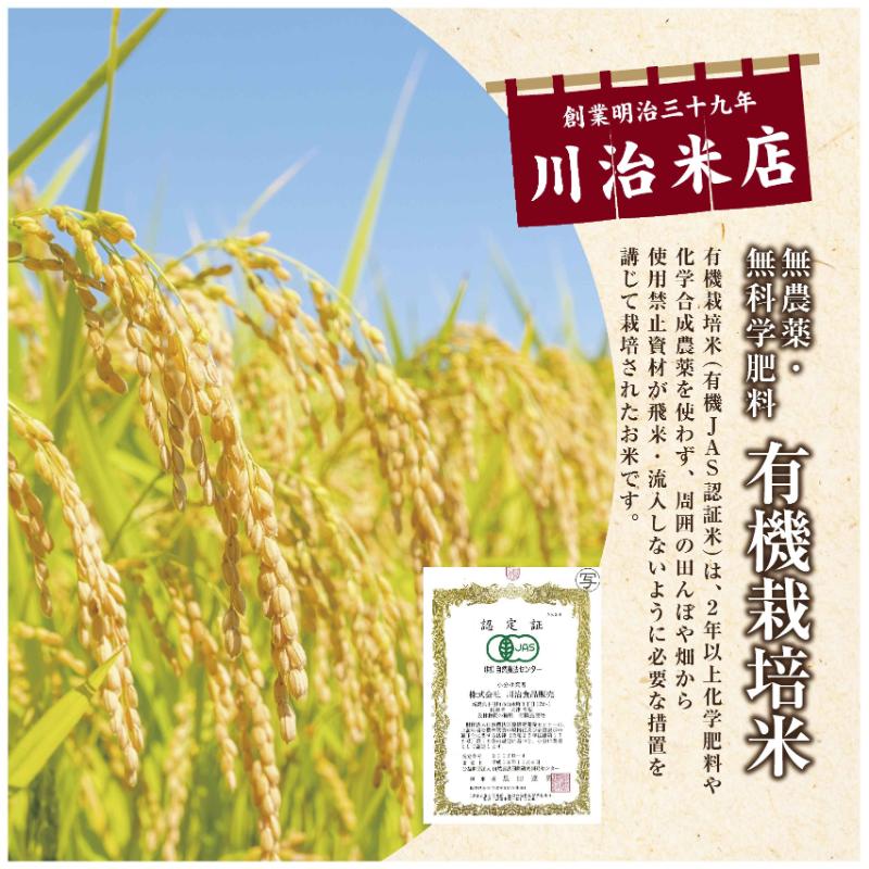令和7年産 魚沼産 コシヒカリ 有機栽培米 5kg×2 米 こしひかり お米 コメ 新潟 魚沼 魚沼産 白米 送料無料 新潟県産 精米 産直 産地直送 有機栽培 お取り寄せ 魚沼三昧 川治米店 新潟県 十日町市 もちもち 