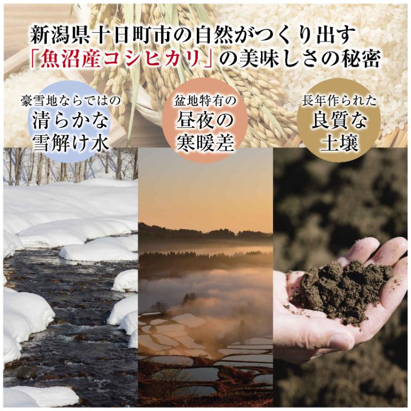 令和7年産 魚沼産 コシヒカリ 有機栽培米 5kg×2 米 こしひかり お米 コメ 新潟 魚沼 魚沼産 白米 送料無料 新潟県産 精米 産直 産地直送 有機栽培 お取り寄せ 魚沼三昧 川治米店 新潟県 十日町市 もちもち 