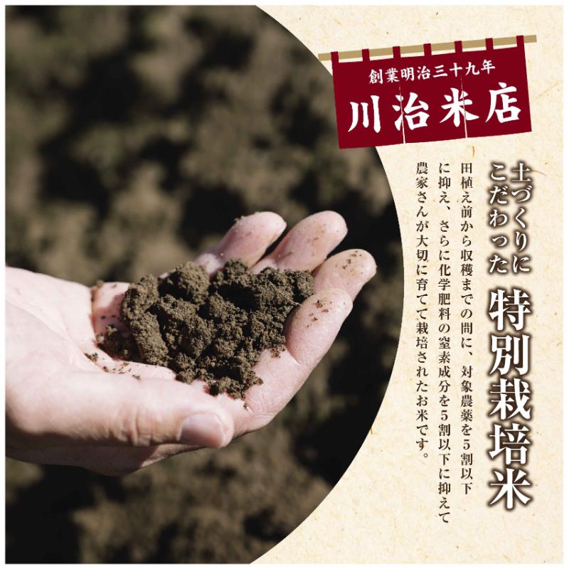令和7年産 魚沼産 コシヒカリ 特別栽培米 5kg 米 こしひかり お米 コメ 新潟 魚沼 魚沼産 白米 送料無料 新潟県産 精米 産直 産地直送 契約農家 お取り寄せ 魚沼三昧 川治米店 新潟県 十日町市 もちもち 