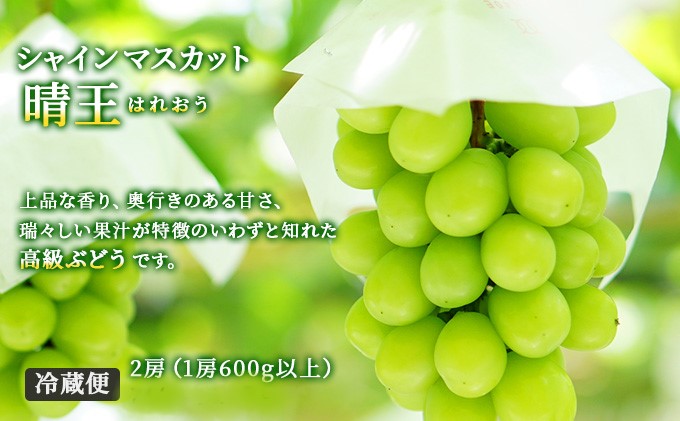 フルーツ 定期便 2026年 先行予約 フルーツ王国 岡山を堪能 6回コース 夏・秋・冬物語 桃 もも 葡萄 ぶどう 梨 なし岡山県産 国産 果物 セット ギフト 柔らかい マスカット 甘い 酸味 香り 風味 