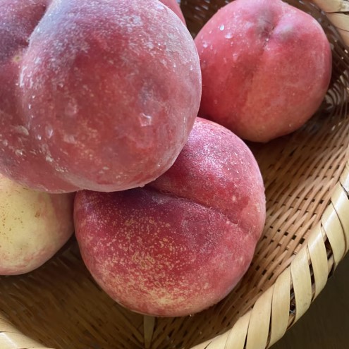 桃 加工品 セット 110g×2瓶 白桃・黄桃とトンカ豆のコンフィチュール ジャム 