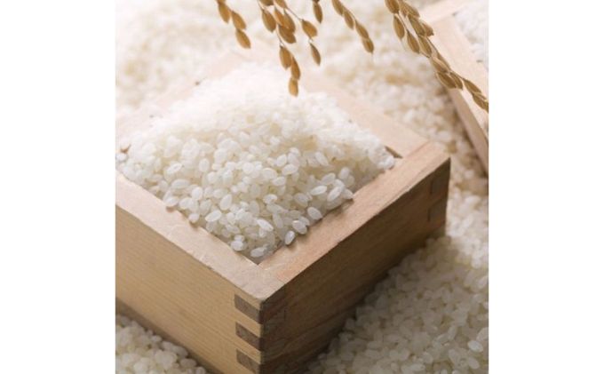 【令和7年産】特別栽培米 魚沼産コシヒカリ5kg お米 おこめ こめ 精米 白米 こしひかり 新潟 