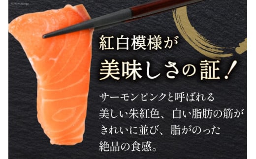 宮城県気仙沼市のふるさと納税 ノルウェー産 アトランティックサーモン 総重量 1kg (正味重量850g) [カネダイ 宮城県 気仙沼市 20565509] 魚 魚介類 サーモン 刺身 アトランティック アトラン 小分け 冷凍 鮭 さけ 訳あり ノルウェー