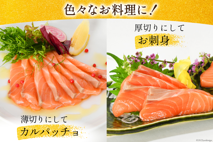 宮城県気仙沼市のふるさと納税 ノルウェー産 アトランティックサーモン 総重量 1kg (正味重量850g) [カネダイ 宮城県 気仙沼市 20565509] 魚 魚介類 サーモン 刺身 アトランティック アトラン 小分け 冷凍 鮭 さけ 訳あり ノルウェー
