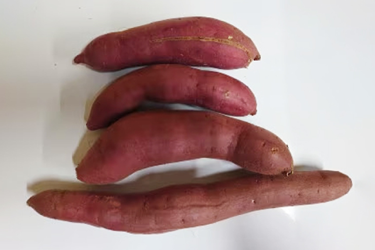 【3ヶ月定期便】★訳あり★紅はるか冷凍焼き芋約3.7kg＋おまかせ品種さつまいも　合計約4kg（EY-29）