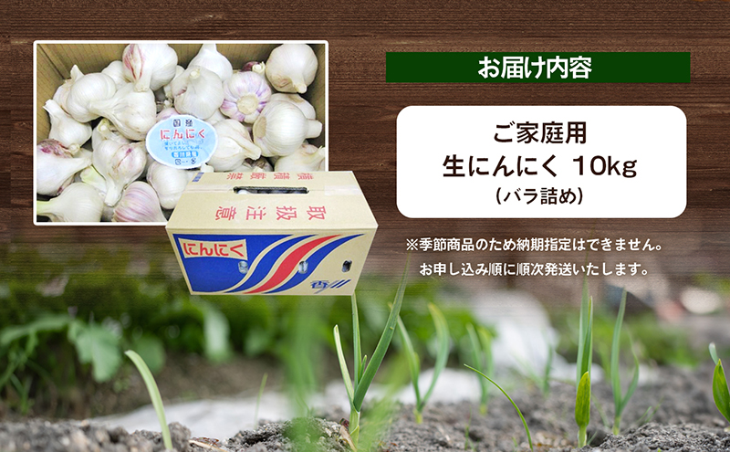 香川県産 生にんにく 10kg ご家庭用生にんにく 約10kg 野菜 野菜セット ニンニク / 香川県