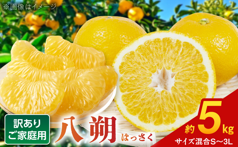BB6060_和歌山由良町産 はっさく 約5kg (訳あり)(ご家庭用) サイズ混合 (S～3L)