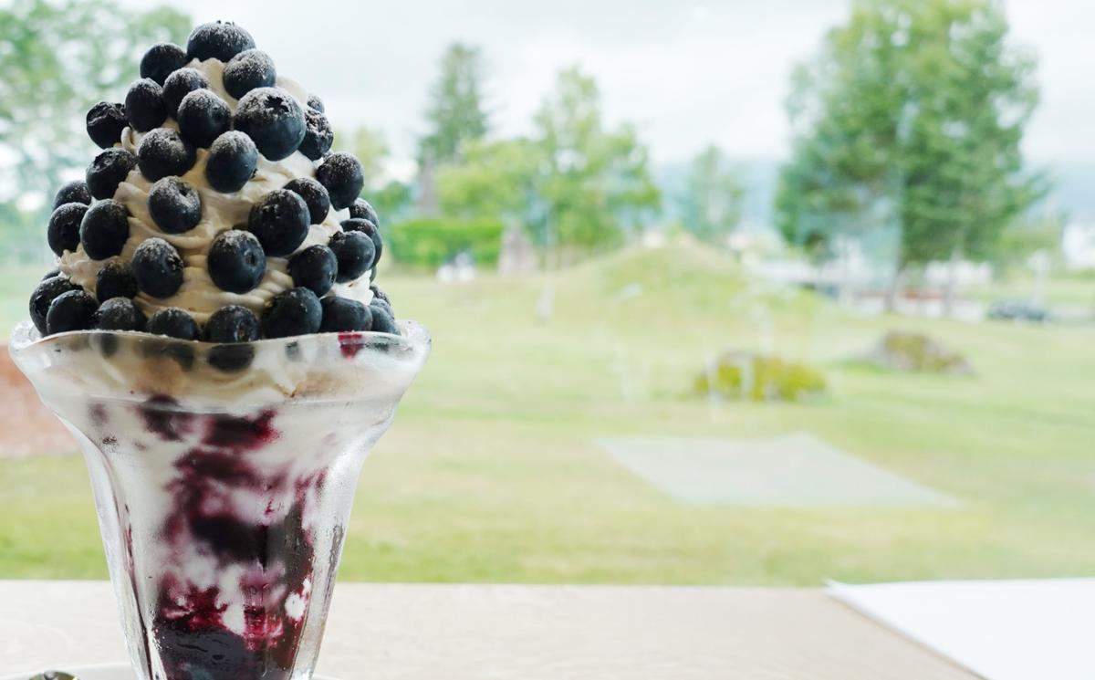 [先行受付] 北海道 仁木町産 有機栽培ブルーベリー 1.5kg（サイズ混合） 果物 くだもの フルーツ 果実 生ブルーベリー 国産 国産ブルーベリー 日本産 [しろうさファーム]