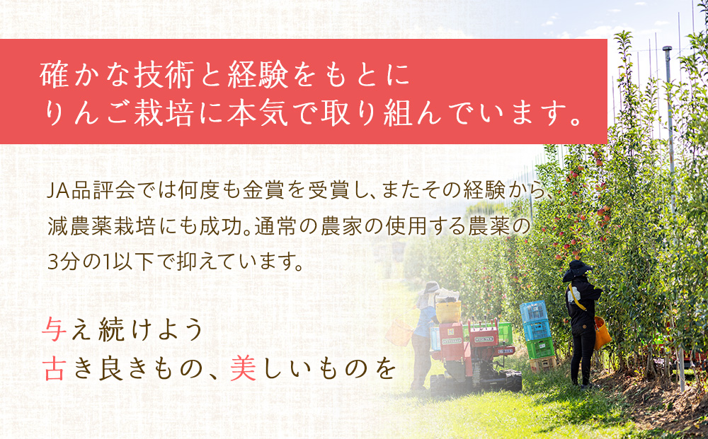 長野県箕輪町のふるさと納税 訳あり りんご あいかの香り 約5kg セット 2025年 令和7年度発送分 リンゴ 林檎 長野 フルーツ 果物 信州産 長野県産 特産 産地直送 家庭用 おすすめ