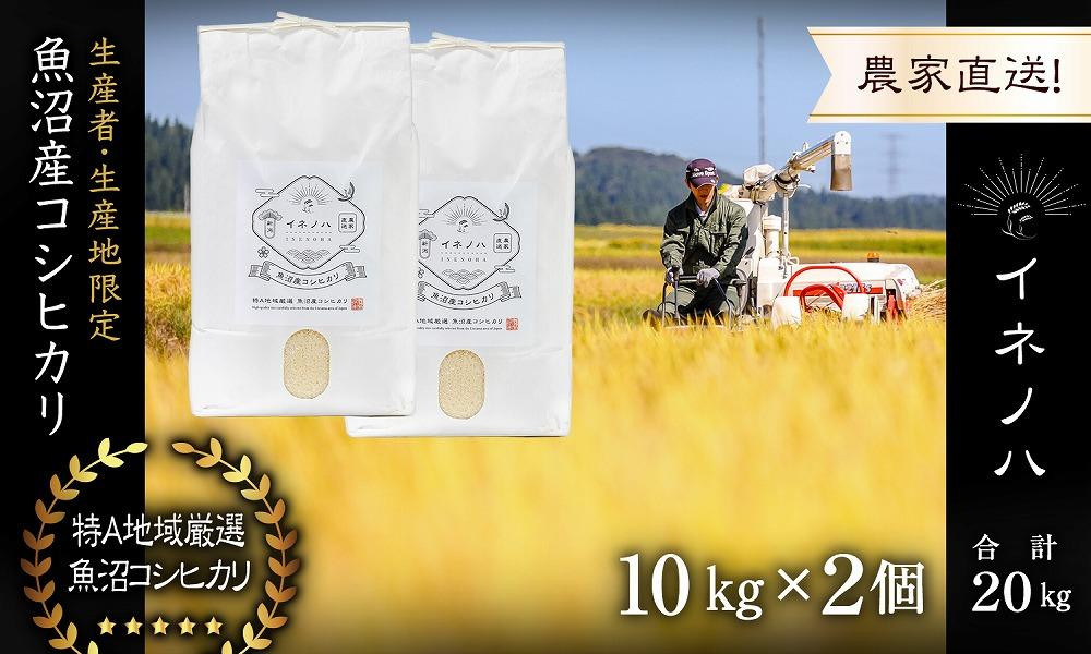 【令和6年産】 魚沼産コシヒカリ 「イネノハ 」精米(10kg×2) お米 白米 ご飯 産地直送 ミネラル 栄養分 こだわり 人気 新鮮 