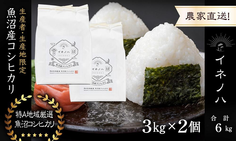 【令和7年産】 魚沼産コシヒカリ 「イネノハ 」精米(3kg×2) お米 白米 ご飯 産地直送 ミネラル 栄養分 こだわり 人気 新鮮 