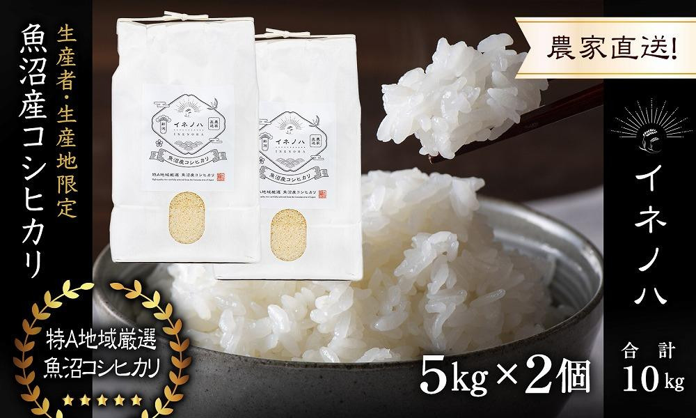 【令和7年産】 魚沼産コシヒカリ 「イネノハ 」精米(5kg×2) お米 白米 ご飯 産地直送 ミネラル 栄養分 こだわり 人気 新鮮 