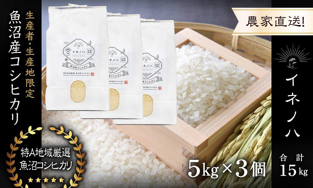 【令和7年産】 魚沼産コシヒカリ 「イネノハ 」精米(5kg×3) お米 白米 ご飯 産地直送 ミネラル 栄養分 こだわり 人気 新鮮 