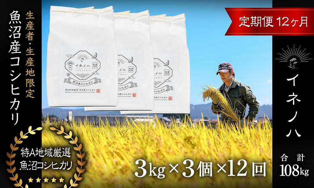 ＜定期便・全12回＞【令和7年産】魚沼産コシヒカリ「イネノハ 」精米(3kg×3)×12回 お米 白米 ご飯 産地直送 ミネラル 栄養分 こだわり 人気 新鮮 