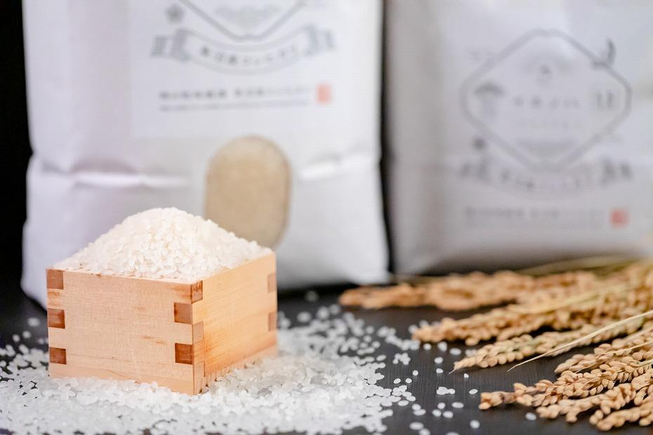 ＜定期便・全12回＞【令和7年産】魚沼産コシヒカリ「イネノハ 」精米(3kg×3)×12回 お米 白米 ご飯 産地直送 ミネラル 栄養分 こだわり 人気 新鮮 