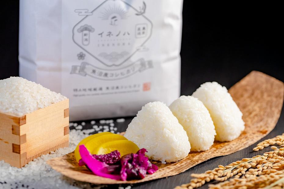 ＜定期便・全12回＞【令和7年産】魚沼産コシヒカリ「イネノハ 」精米(3kg×3)×12回 お米 白米 ご飯 産地直送 ミネラル 栄養分 こだわり 人気 新鮮 