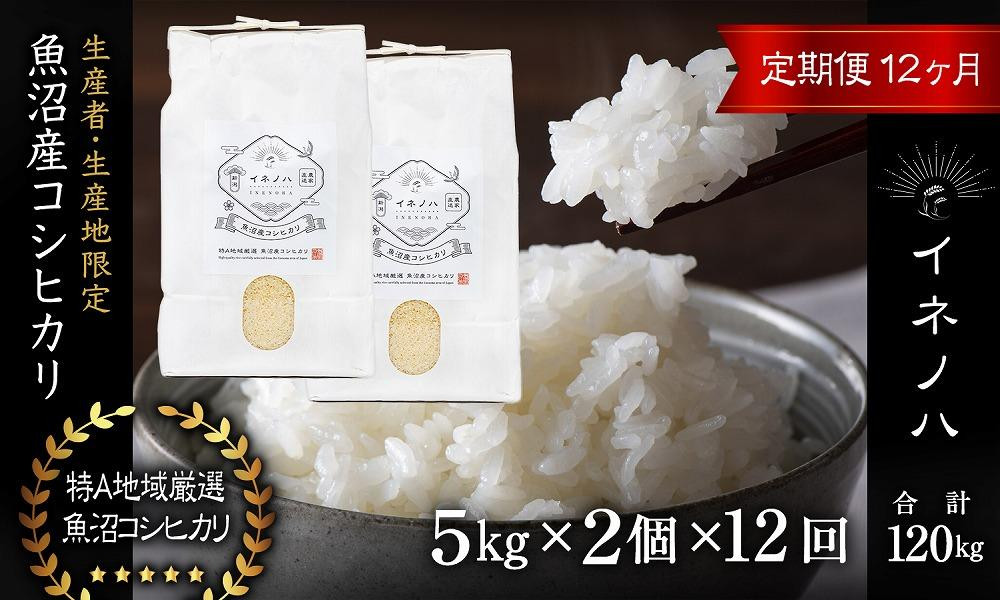 お米5kg×3 合計15kg 令和4年魚沼産コシヒカリ白米 令和7年産】新米予約 最高級魚沼産コシヒカリ「雪椿」20kg（5kg