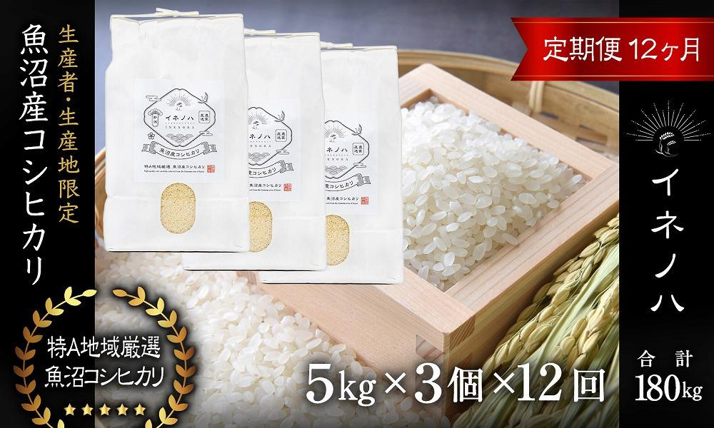 ＜定期便・全12回＞【令和7年産】魚沼産コシヒカリ「イネノハ 」精米(5kg×3)×12回 お米 白米 ご飯 産地直送 ミネラル 栄養分 こだわり 人気 新鮮 